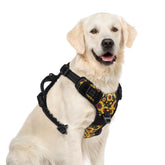 PUPTECK No Pull XL front D-ring harness for gentle walk control
