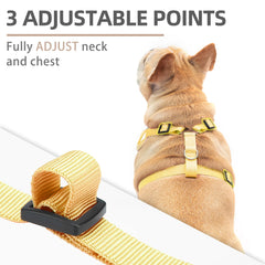 PUPTECK small dog harness adjustable fit for quick on/off wearing.
