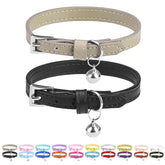 PUPTECK soft leather collar in black shows comfortable daily wear