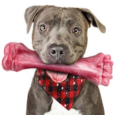Puptily indestructible dog bone large front view supports stress relief for heavy chewers