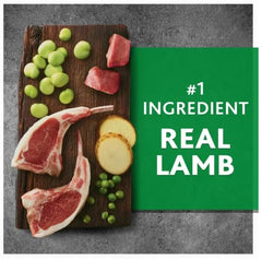 Pure Balance Lamb and Fava Bean ingredients closeup, highlighting high-quality meat-first nutrition.
