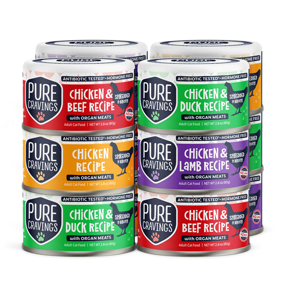 Pure Cravings chicken recipe broth shredded cat food in bowl for hydration