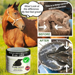 Pure Sole Hoof Clay packaging US-made signals reliable, all-natural hoof care.