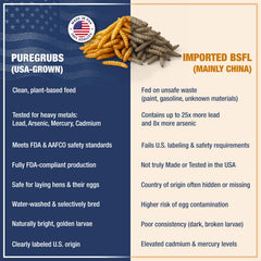 PureGrubs BSFL chickens-lined-up flock attracted to a crunchy high-protein snack.