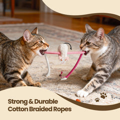 Puretoy three-in-one design shows versatile enrichment for kittens and adults.