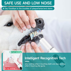 Purfur Ultrasonic Dog Toothbrush heads and handle showing replaceable heads for routines.
