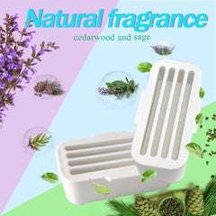 PurifyLogix 120-day supply packaging showing four deodorants