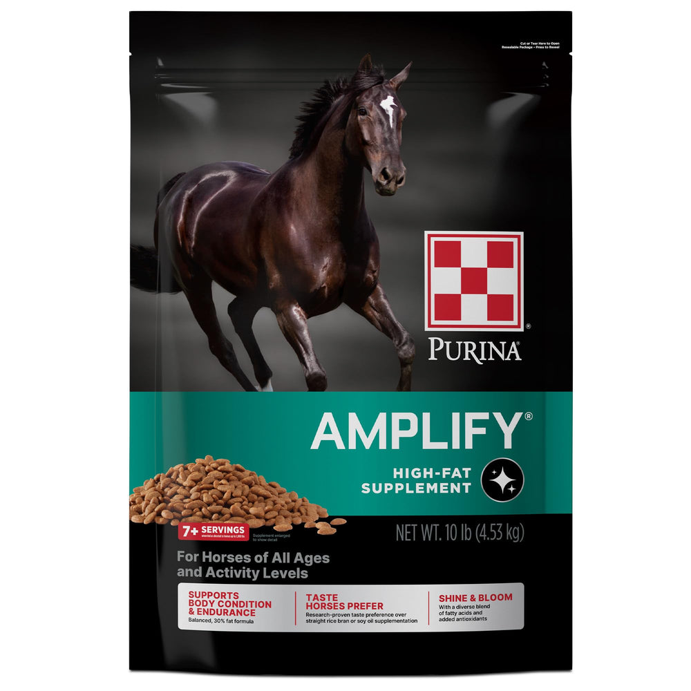 Purina Amplify high-fat horse supplement bag front view showing conditioning support
