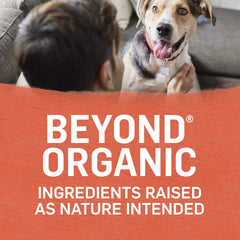 Purina Beyond Organic Wet Dog Food broth closeup emphasizes savory, hydrating meal option.
