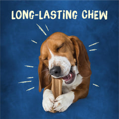 Purina Busy Bone Original 10ct outer layer texture close-up on durable chew