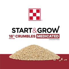 Purina Start & Grow chicks feeding scene showing chick nutrition