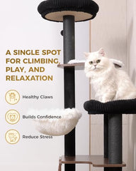 Purrlato cat tree multi-levels provides climbing fun and resting spots.