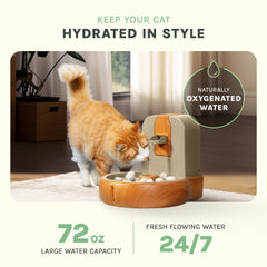 PURRVANA Cat Water Fountain splash-free design keeps your pet area clean.