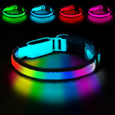 PWOD LED dog collar displays seven colors for safer night walks