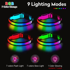 PWOD LED Dog Collar metal D-ring leash attachment for secure walks.