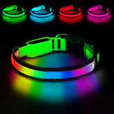 PWOD LED Dog Collar shows seven-color glow for brighter night visibility.