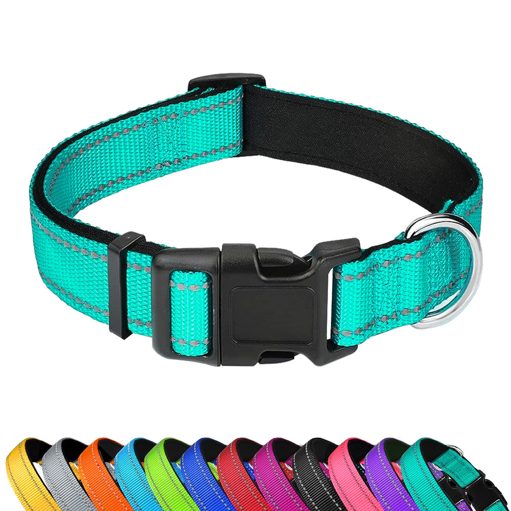 PWOD reflective dog collar XL teal neoprene padding brightens nighttime visibility