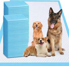 PWQOENFD puppy-pad-40x40-pack ready for training sessions