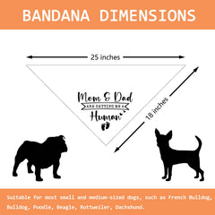 Pwrlveiut dog bandana worn on dog illustrating simple tie for all sizes