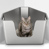 PWTAA stainless steel corner litter box front view shows roomy interior for multi-cat homes.