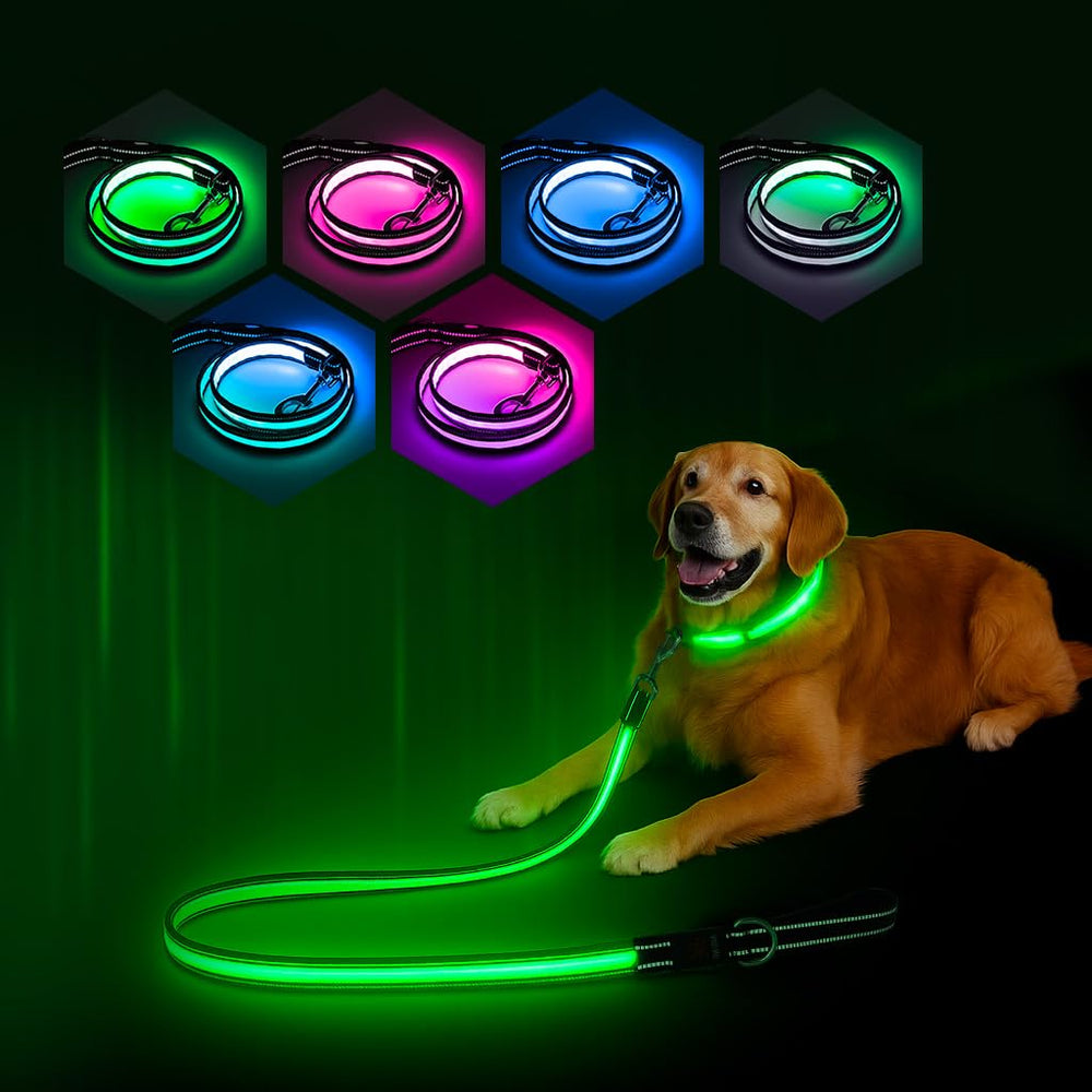 PZRLit light up dog leash blue mode shows 360° visibility for safer night walks.