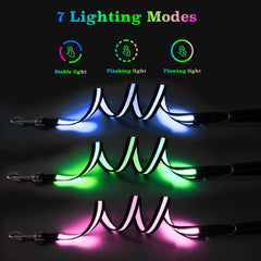 PZRLit light up dog leash full-length glow highlights entire leash for consistent brightness.