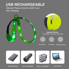 PZRLit light up dog vest LED beads emphasize full illumination during dusk strolls.