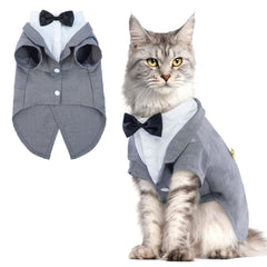 QBLEEV Cat Tuxedo Suit front view enhances cute formal look for photos.