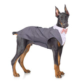 QBLEEV dog tuxedo collar bows close-up for polished event-ready style.