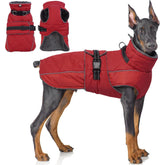 QBLEEV Warm Dog Jacket featuring waterproof fabric to keep your pup dry during rainy walks