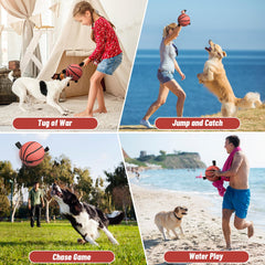 QDAN dog water toy for pool or beach play, waterproof and safe