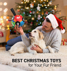 QDAN PU leather ball emphasizes durability like a FIFA-style toy