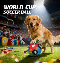 QDAN ball offers unpredictable bounce to spark chasing instincts