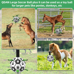 QDAN extra-large 9-inch ball made of premium PU for durability.