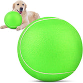 QDAN giant tennis ball for dogs ready for outdoor fetch and play.