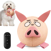 QDAN interactive dog toy pig-style ball with straps for engaging fetch and training