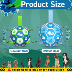 QDAN ball during a training session, focusing on energy and focus.