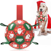 QDAN Christmas soccer ball outdoors for energetic fetch and lively play.