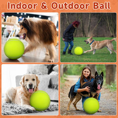 QDAN dog ball with pump and needle adapter, quick inflation after rain or mud.