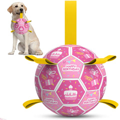 QDAN dog birthday toy ball squeaky for celebration play and video capture.