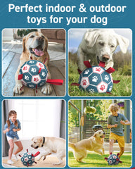 QDAN 10-inch dog ball in action with bounce for large breeds