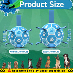 QDAN outdoor dog ball ready for yard or park training sessions
