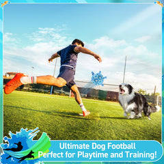 QDAN dog soccer ball pool toy in water-ready design for splashy fetch.