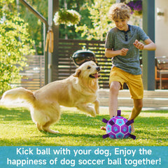QDAN dog soccer ball with nylon seams for erratic bounce.