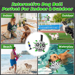 QDAN water-friendly ball for dogs ideal for lake, pool, or beach play.