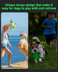 QDAN glow-in-the-dark dog ball ready for night fetch and training