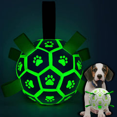 QDAN glow-in-dark dog ball 6-inch front view for night play and engagement.
