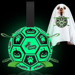 QDAN glow-in-the-dark dog ball glows at night for easy night fetch.