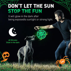 QDAN Halloween dog ball gift adds festive fun for dogs.