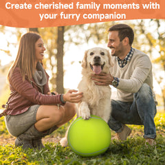 QDAN large-breed ball for training and fetch, durable rubber for indoor or outdoor play.